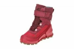 Ecco Kinderschuhe BIOM K2 GTX Halbschuhe -Günstiges Kinderschuhe Geschäft 29014889 03
